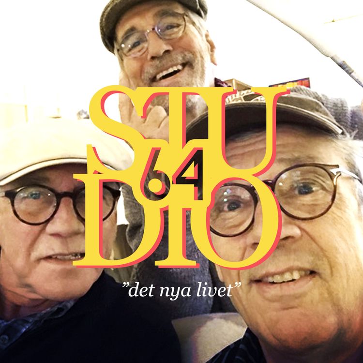 cover art for Vinklat, vridet och dyrt?