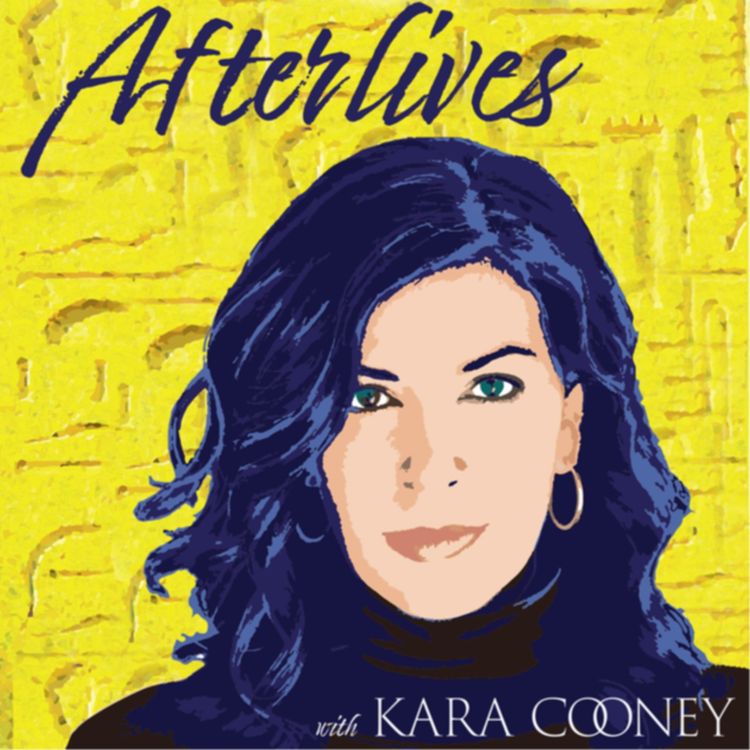 cover art for Feed Swap - Demystifying Academia (Part II) from Afterlives with Kara Cooney