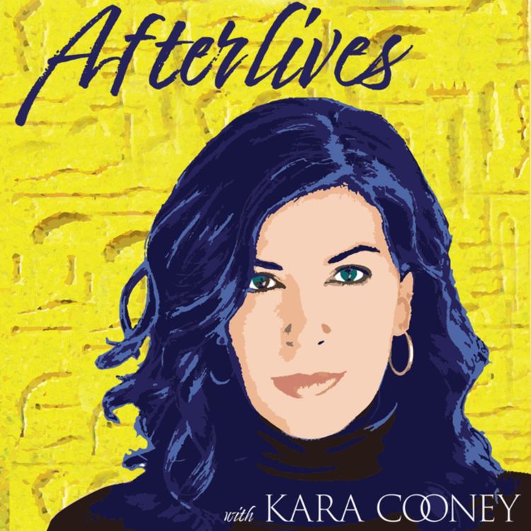 cover art for Feed Swap - Demystifying Academia (Part III) from Afterlives with Kara Cooney