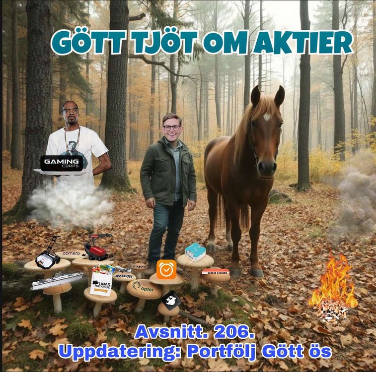 cover art for 206. Uppdatering: Portfölj Gött ös