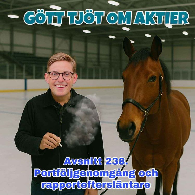 cover art for 238. Portföljgenomgång och rapporteftersläntare