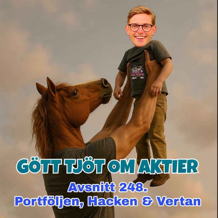 cover art for 248. Portföljen, Hacken & Vertan