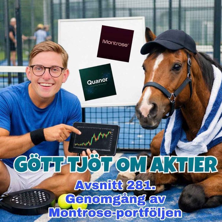 cover art for 281. Genomgång av Montrose-portföljen