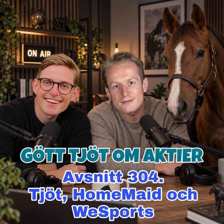 cover art for 304. Tjöt, HomeMaid och WeSports