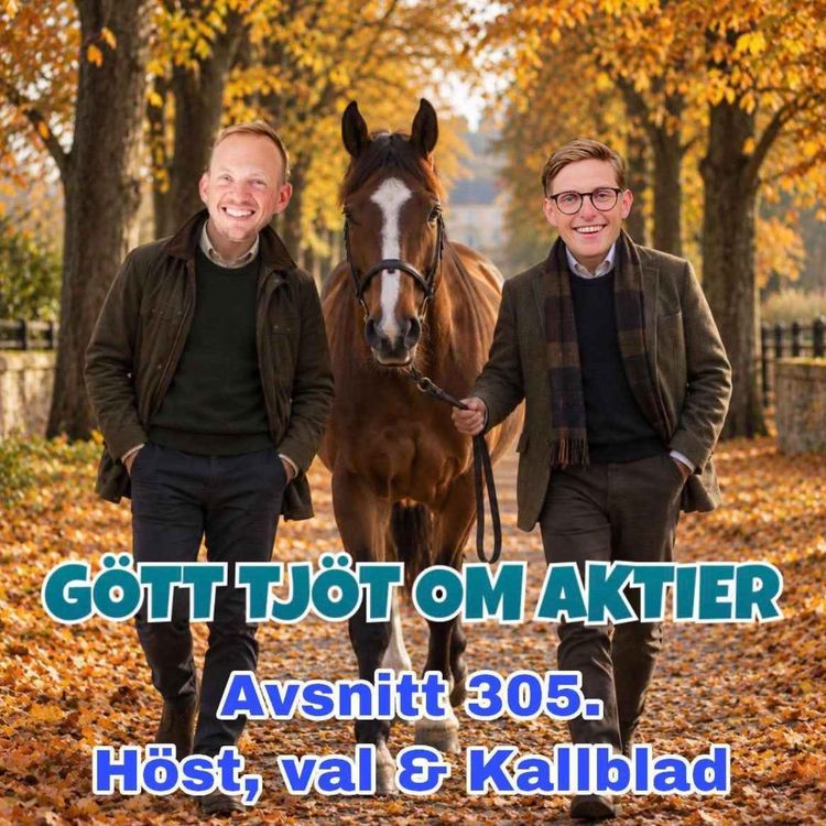 cover art for 305. Höst, val & Kallblad
