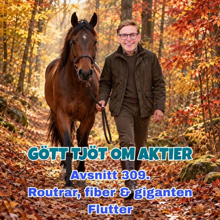 cover art for 309. Routrar, fiber & giganten Flutter