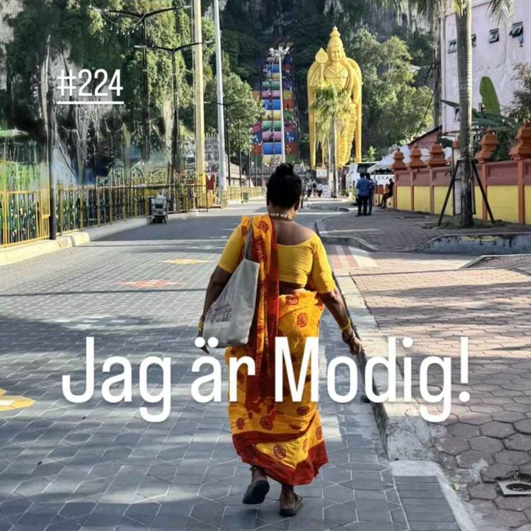 cover art for 224. En ny väg framåt