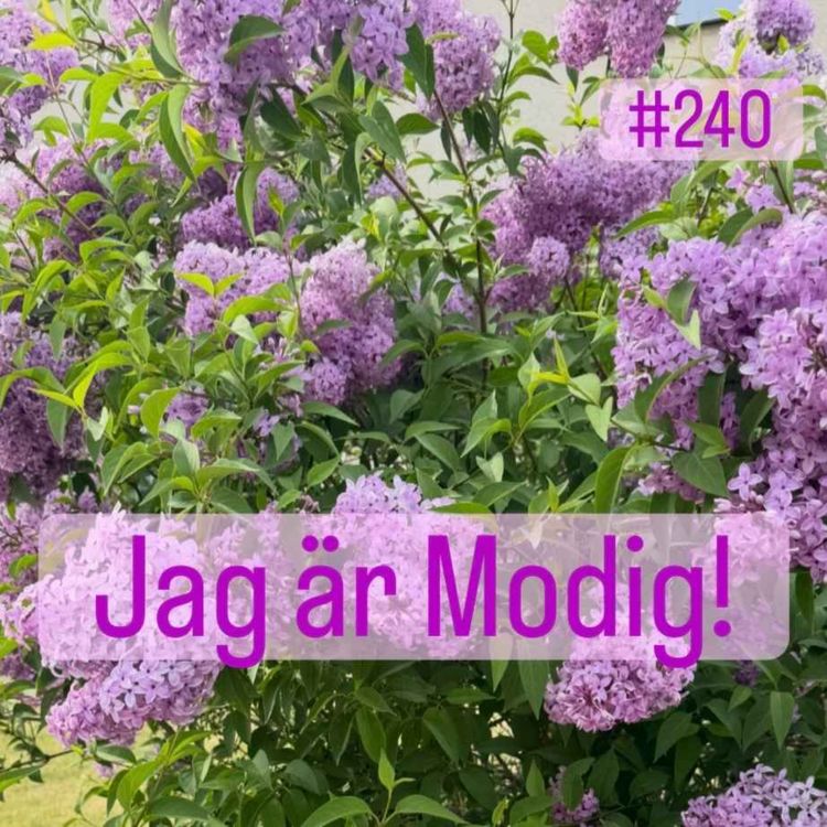 cover art for 240. Att våga släppa taget