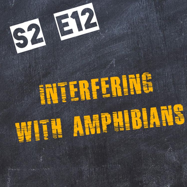 cover art for Interfering With Amphibians