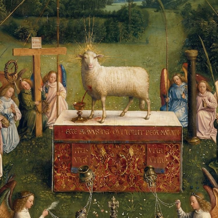 cover art for Being a Young Woman Feels Like Being HUNTED