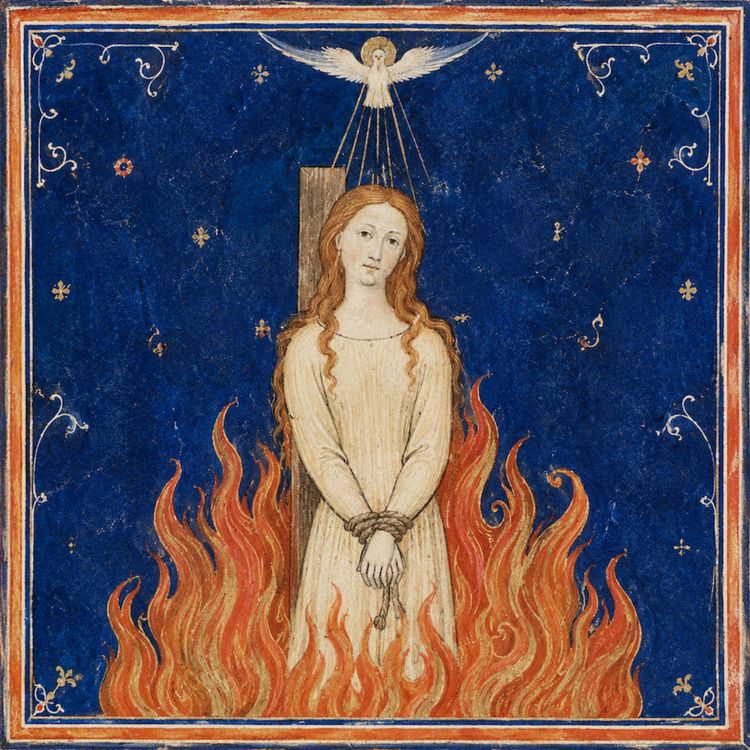 cover art for The Cathars, the Inquisition and the Women Who Defied Rome (Anne Baring Part 7)