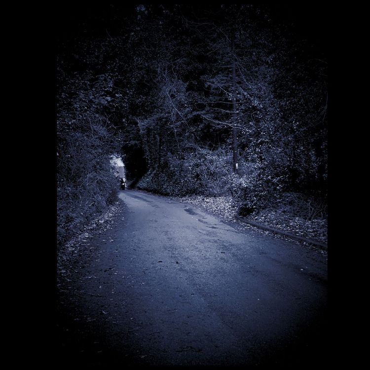 cover art for Family Ghosts