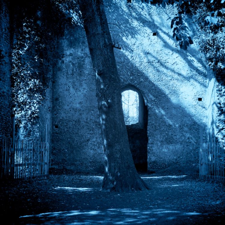 cover art for Of Witch's Legs and Other Questions.