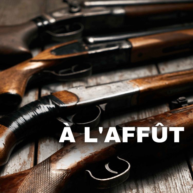 cover art for Pourquoi les chasseurs doivent-ils déclarer leurs armes auprès de l'Etat?
