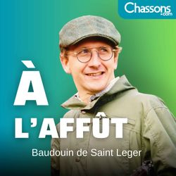 cover art for À l'Affût