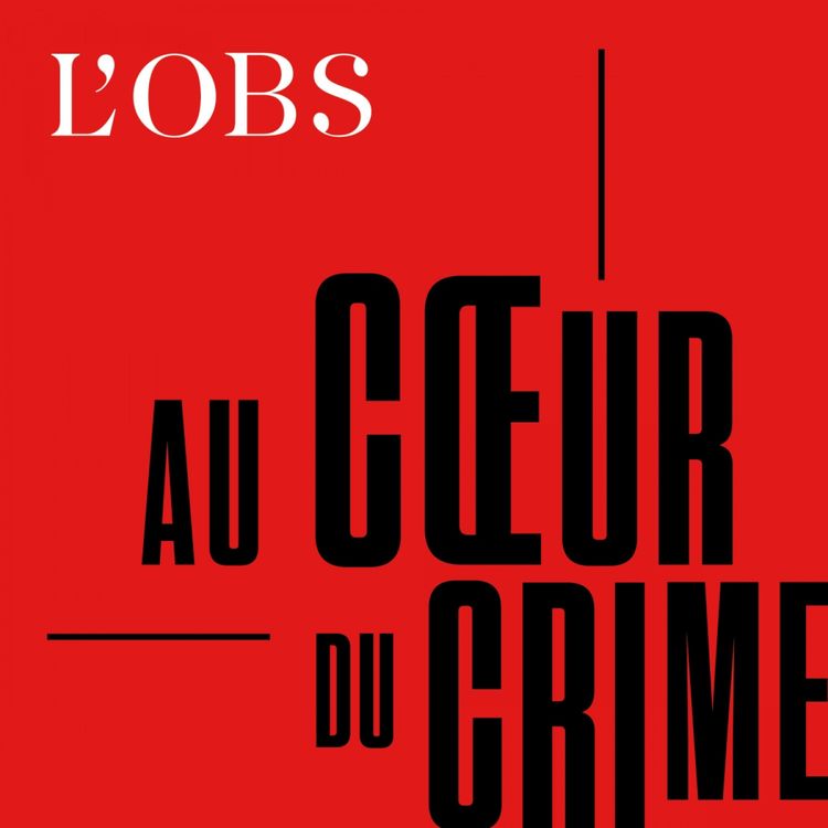 cover art for L’affaire Carmen Bois