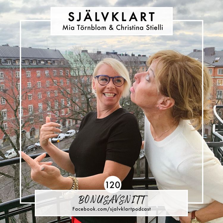 cover art for 120. BONUSAVSNITT