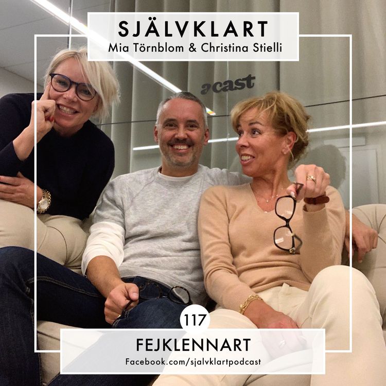 cover art for 117. Fejklennart