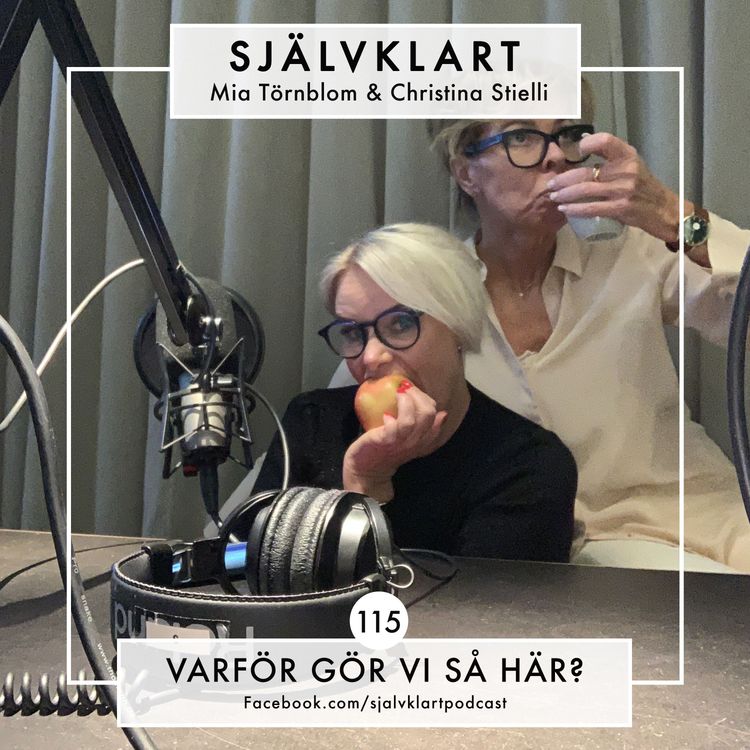 cover art for 115. Varför för vi så här?