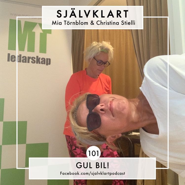 cover art for 101. Gul bil!