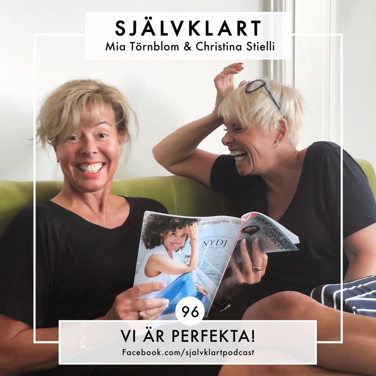 cover art for 96. Vi är perfekta!
