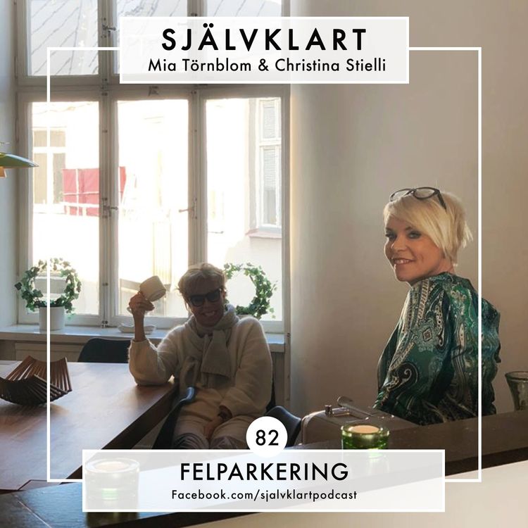 cover art for 82. Felparkering