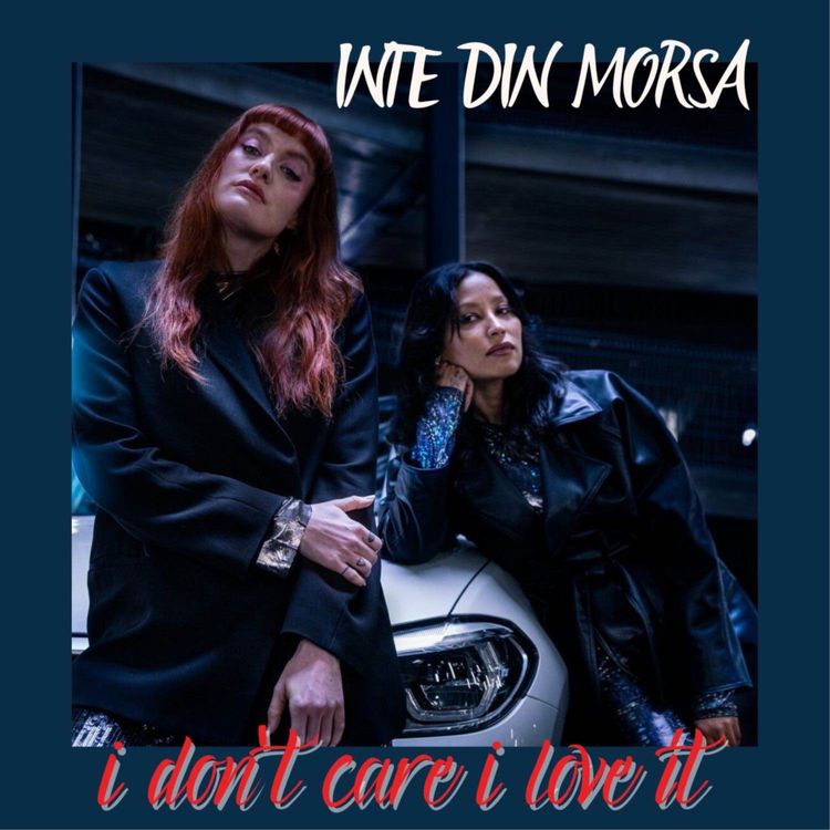 cover art for i don't care i love ít