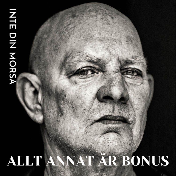 cover art for Allt annat är bonus