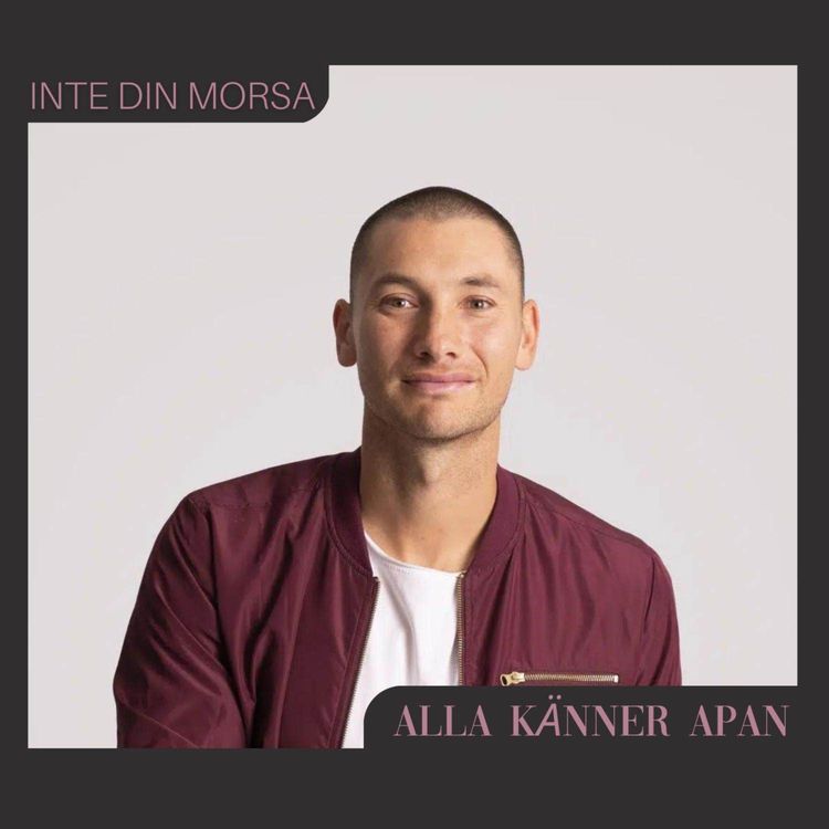 cover art for Alla känner Apan