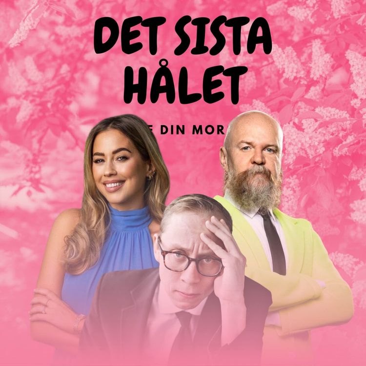 cover art for Det sista hålet