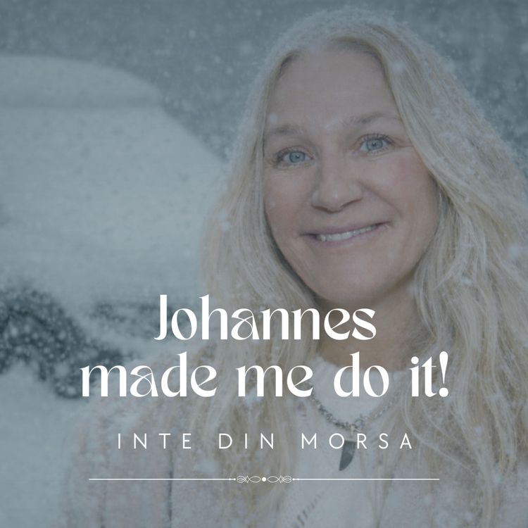 cover art for Johannes made me do it!