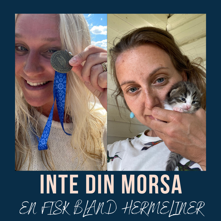 cover art for En fisk bland hermeliner  ❤️