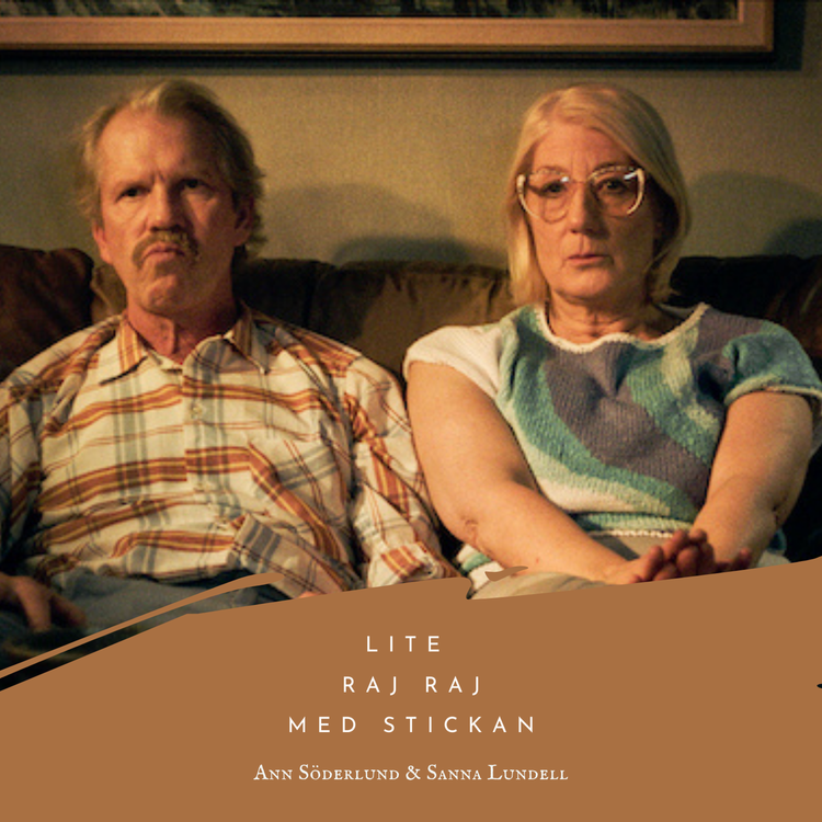cover art for Lite Raj Raj med stickan!