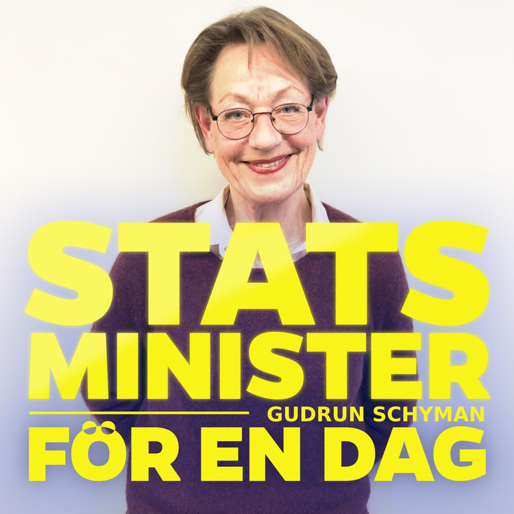 cover art for Gudrun Schyman