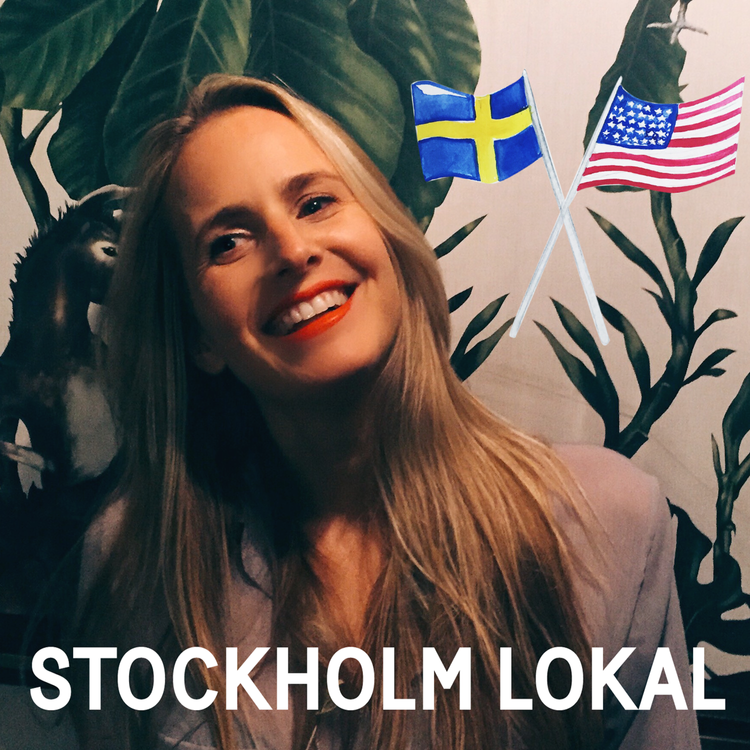 cover art for An American in Sweden