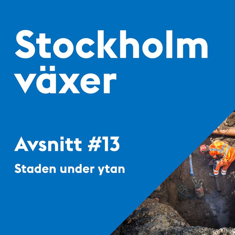 cover art for 13. Staden under ytan