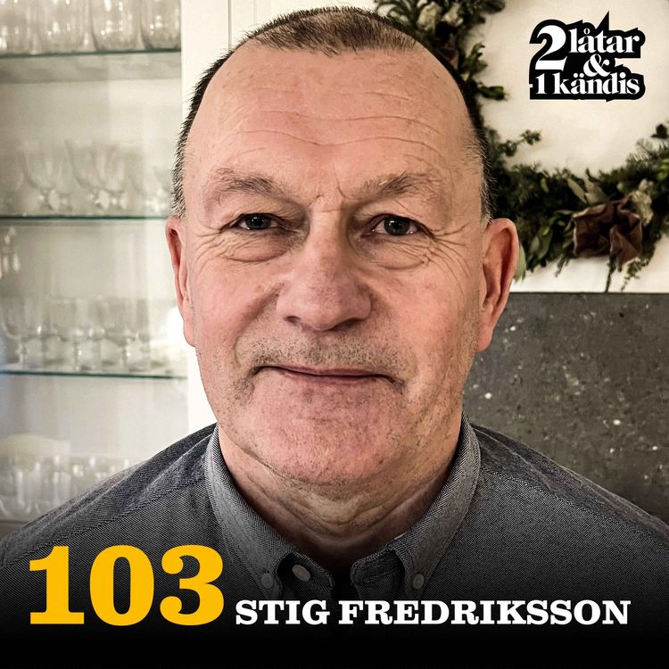 cover art for Stig Fredriksson