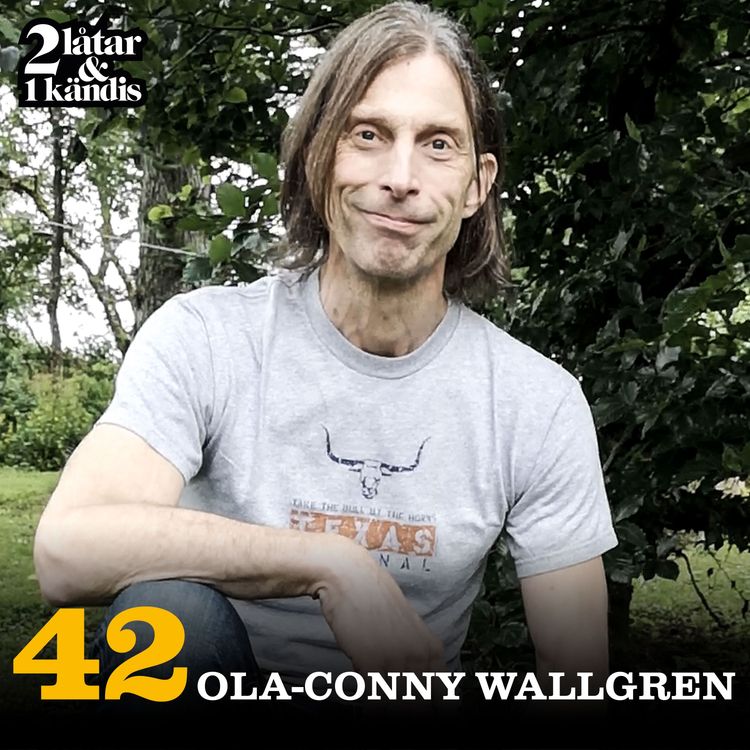 cover art for Ola-Conny Wallgren