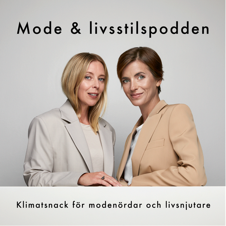 cover art for Hur hållbara är egentligen H&M?