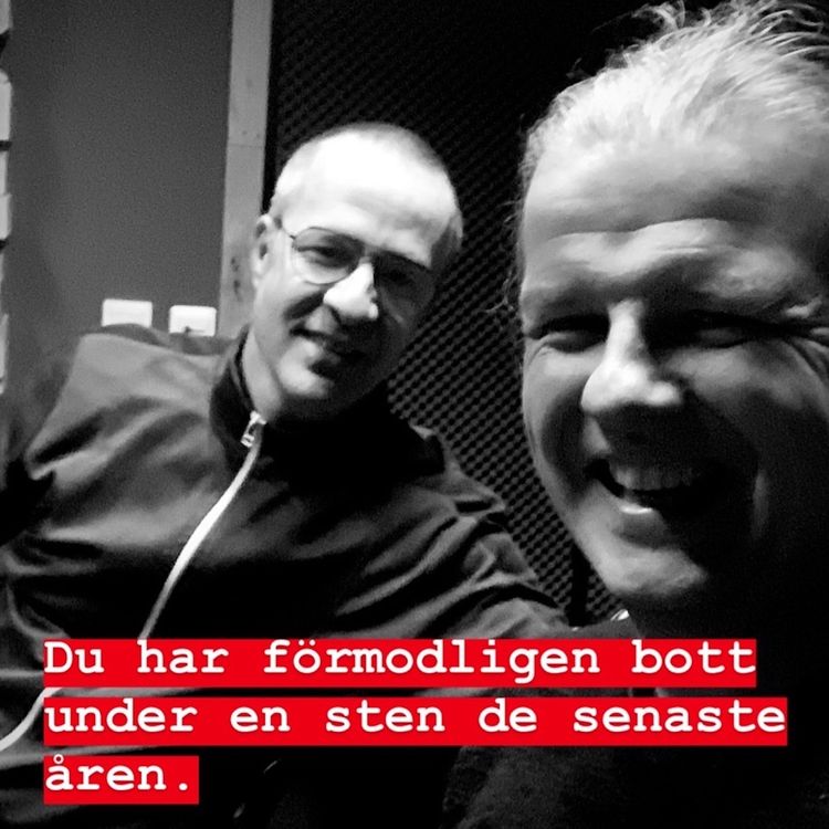 cover art for Du har förmodligen bott under en sten de senaste åren