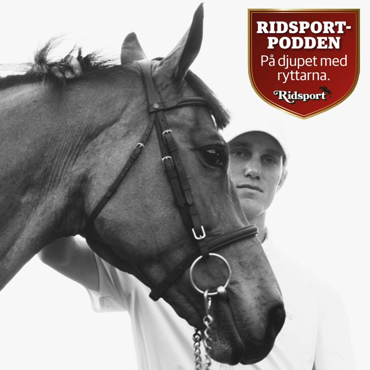 cover art for Alexander Zetterman