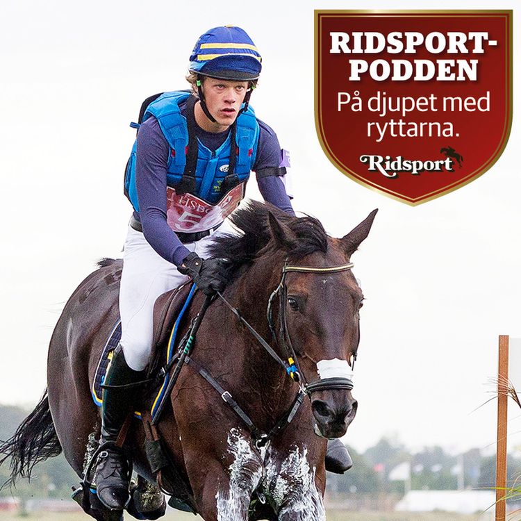 cover art for Ludwig Svennerstål