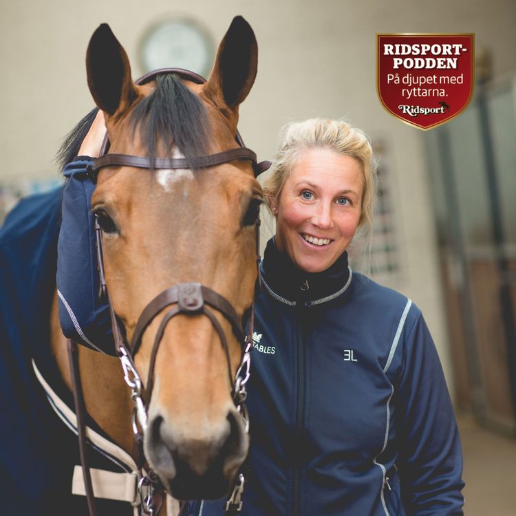 cover art for Erika Lickhammer