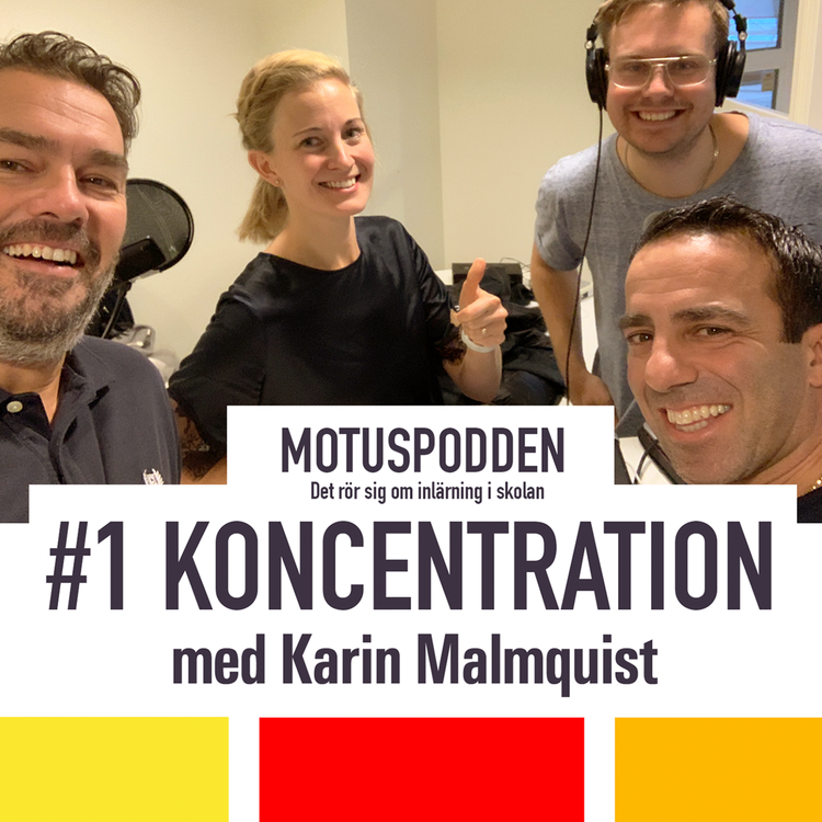 cover art for Koncentration - med Karin Malmquist