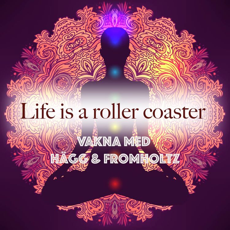 cover art for Life is a roller coaster