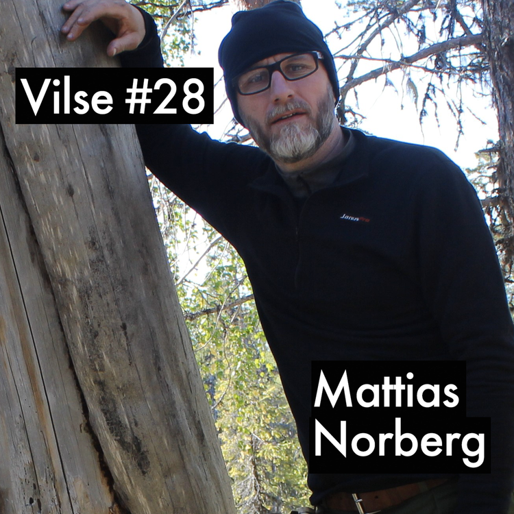 cover art for #28: Mattias Norberg, eld och växter, back to basics