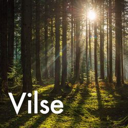 cover art for Vilse