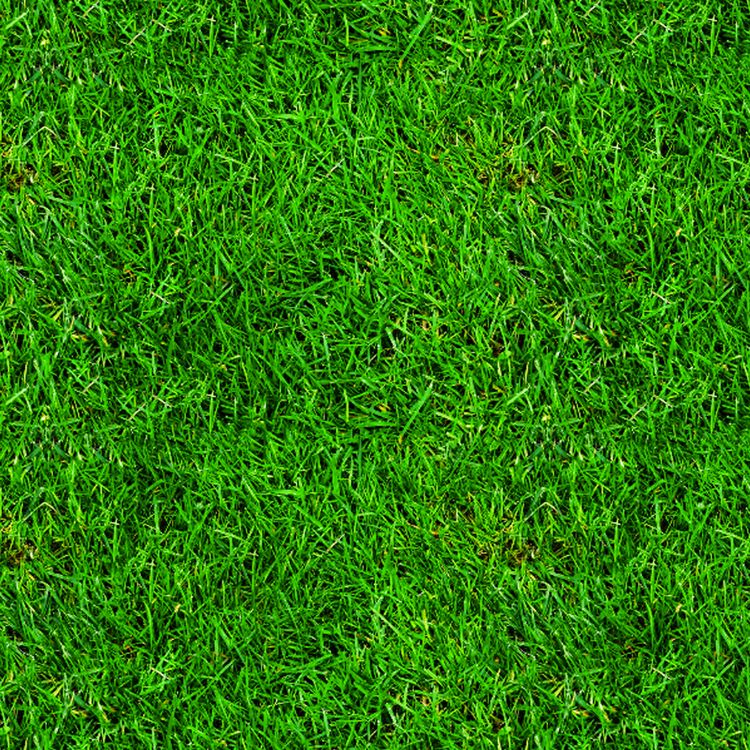 cover art for Clare Griffiths – A Mile in My Shoes