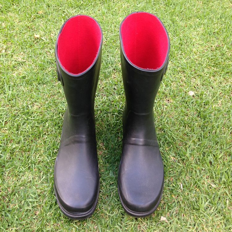 cover art for Karen Lang - A Mile in My Shoes