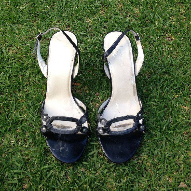 cover art for Dianne Lawrence - A Mile in My Shoes